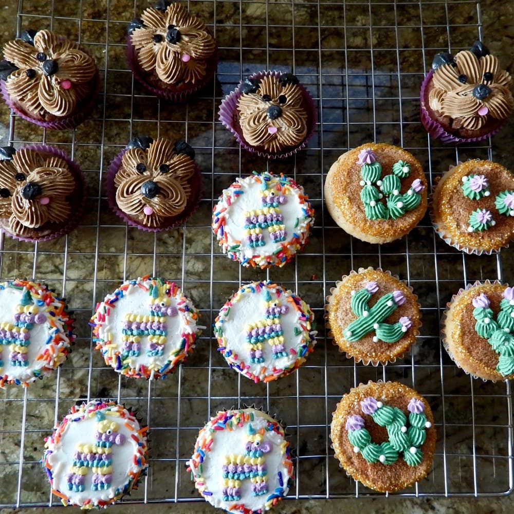 Themed Party Cupcakes